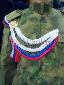 Аксельбанты. эполеты