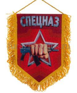 Вымпелы